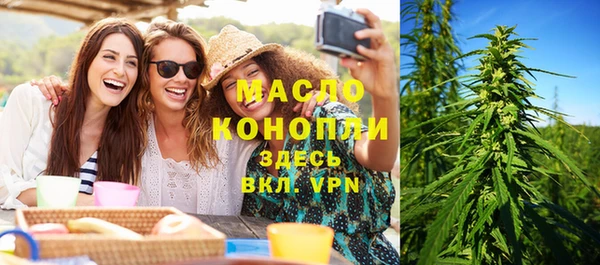 индика Аркадак