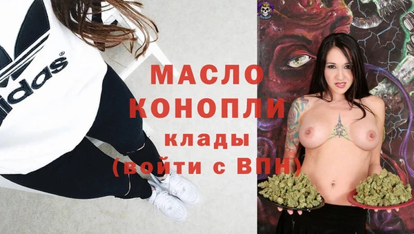 индика Аркадак