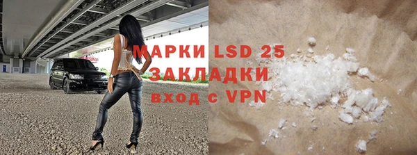 индика Аркадак