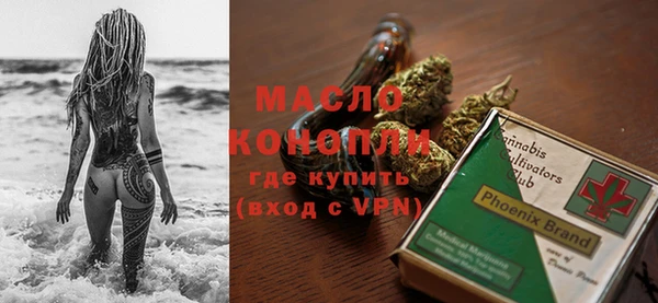 индика Аркадак