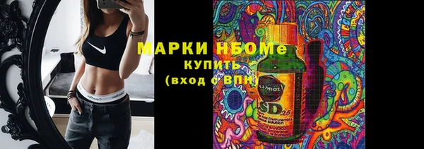 индика Аркадак