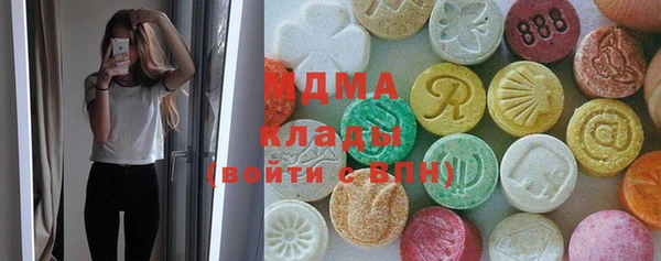 индика Аркадак